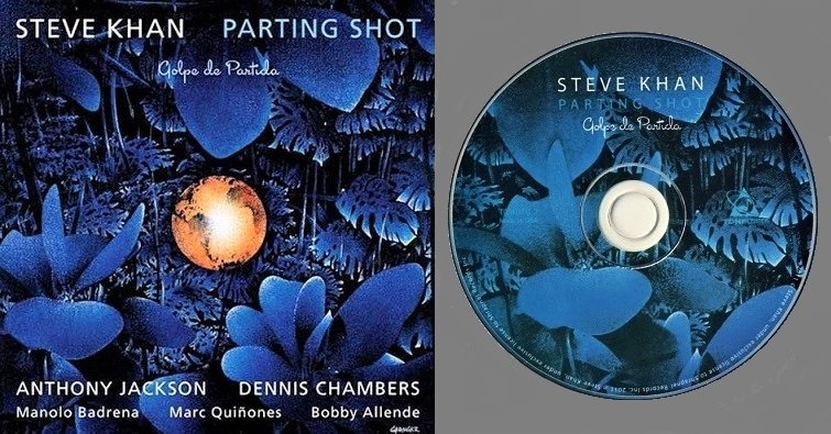 Blues Connotation Steve Khan